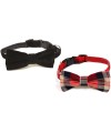 Boy Papillon Dog collar