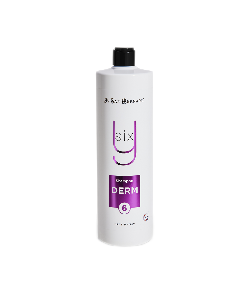 Iv San Bernard Shampoo Derm Y6