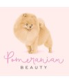 Recovery Mask BSD Pomeranian Beauty