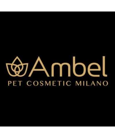 Ambel